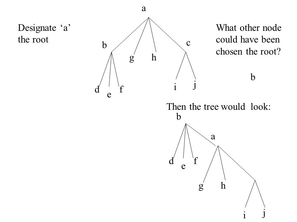 A tree is a simple graph satisfying: if v and w are vertices and there is a path from v to w, it is a unique simple path.