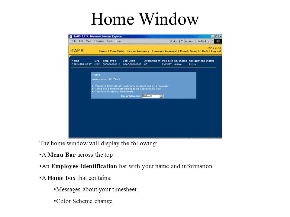 Home Window The home window will display the following: A Menu Bar across the top An Employee Identification bar with your name and information A Home box that contains: Messages about your timesheet Color Scheme change