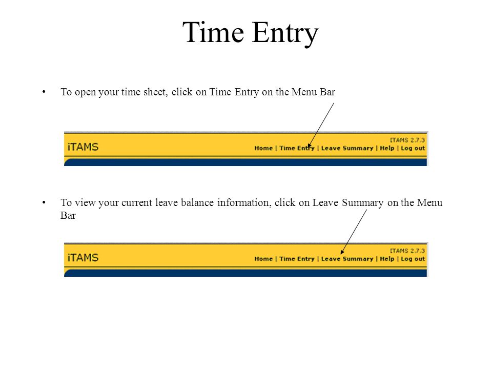 Time Entry To open your time sheet, click on Time Entry on the Menu Bar To view your current leave balance information, click on Leave Summary on the Menu Bar
