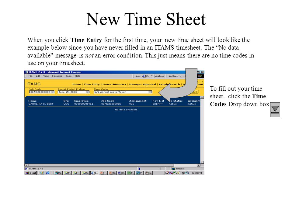 New Time Sheet To fill out your time sheet, click the Time Codes Drop down box When you click Time Entry for the first time, your new time sheet will look like the example below since you have never filled in an ITAMS timesheet.