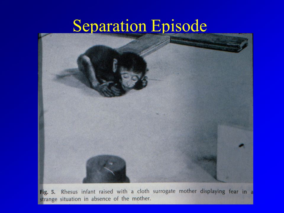 Separation Episode