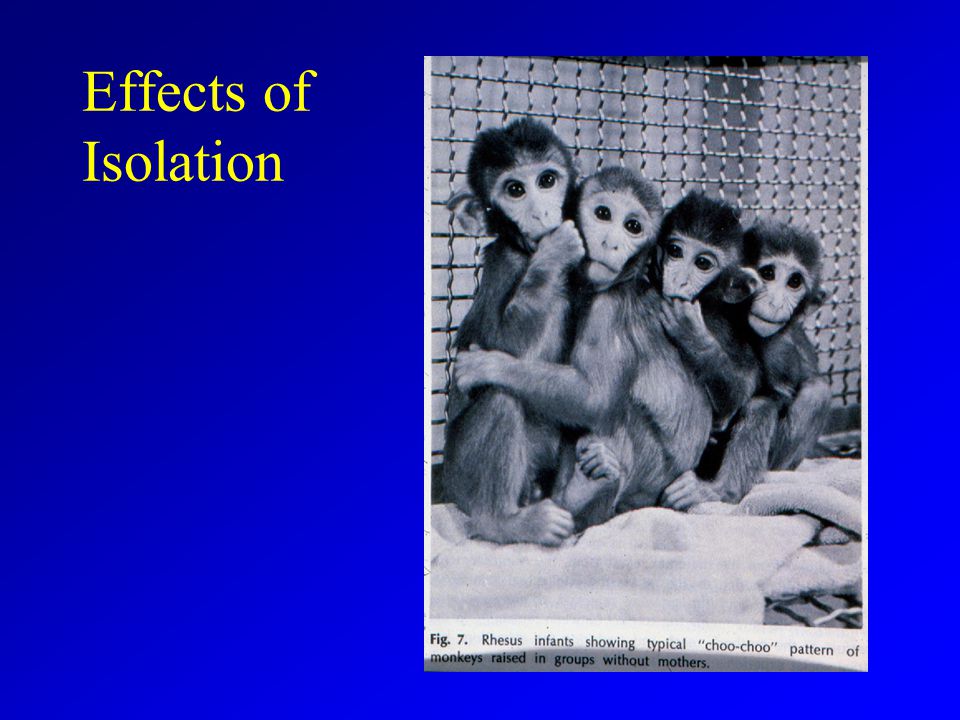Effects of Isolation