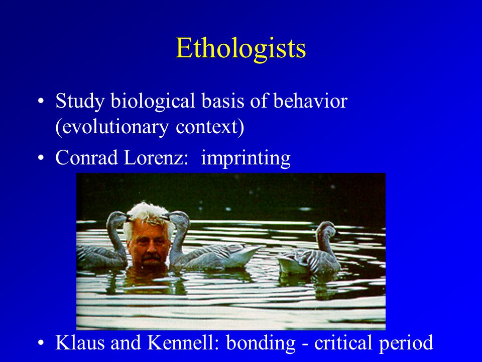 Ethologists Study biological basis of behavior (evolutionary context) Conrad Lorenz: imprinting Klaus and Kennell: bonding - critical period