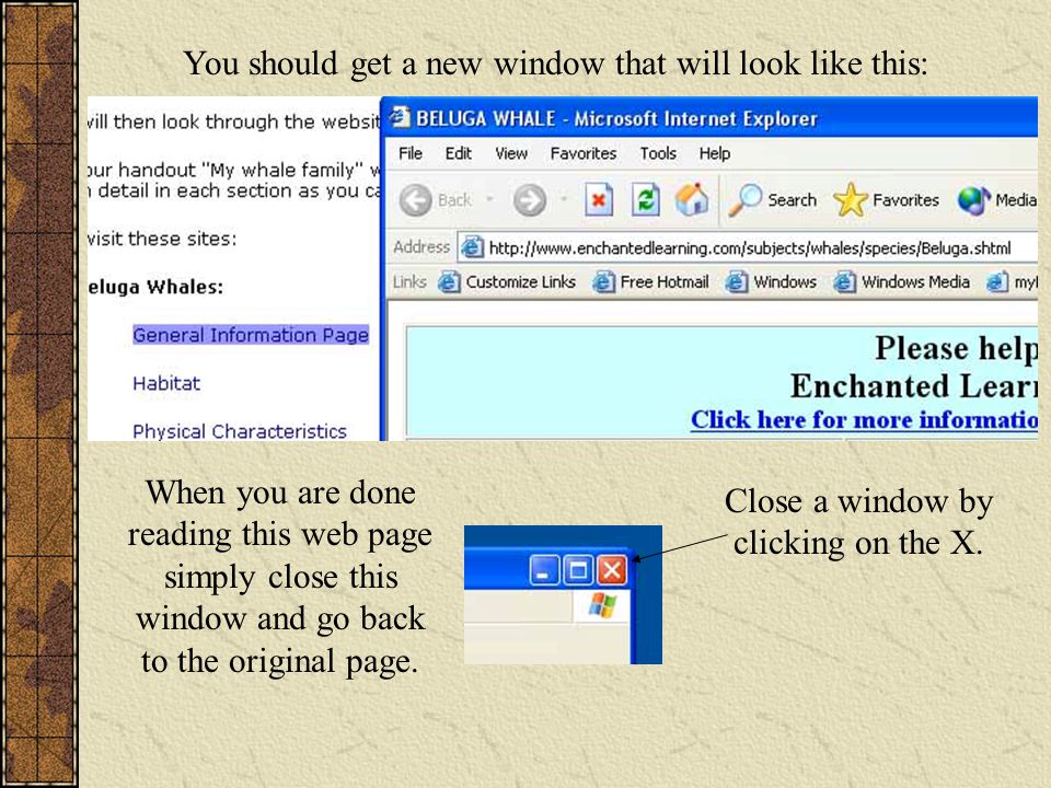 You should get a new window that will look like this: When you are done reading this web page simply close this window and go back to the original page.