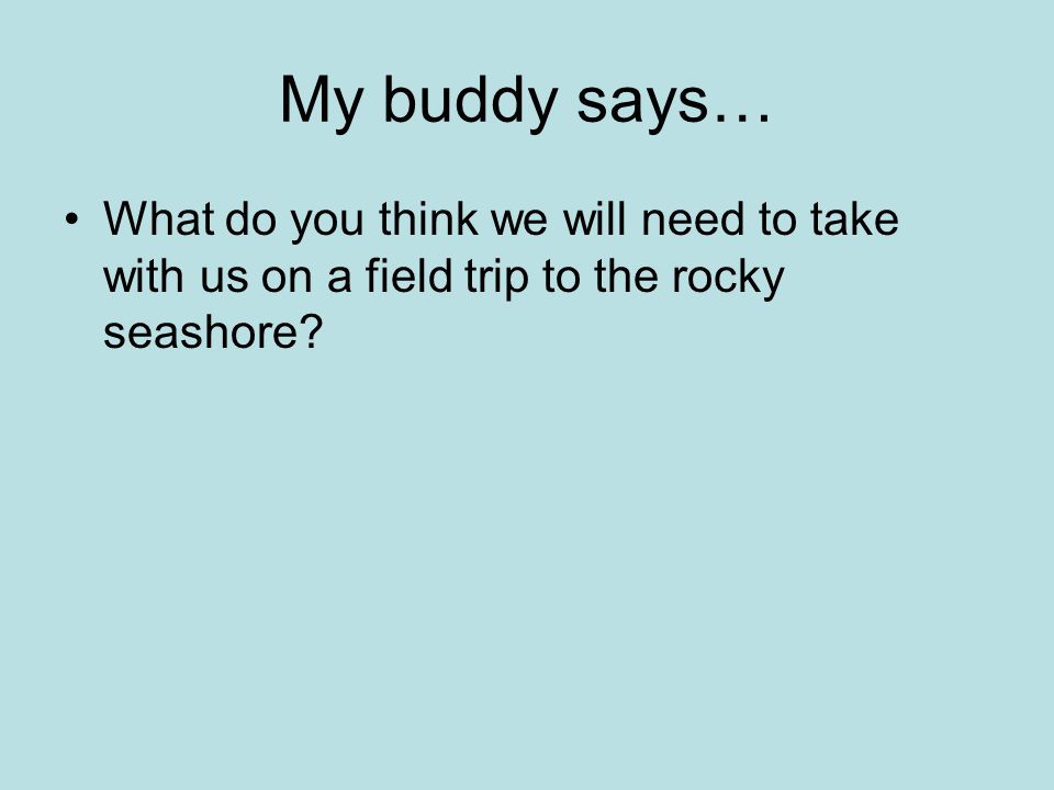 My buddy says… What do you think we will need to take with us on a field trip to the rocky seashore