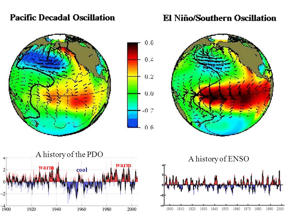 A history of ENSO warm cool warm A history of the PDO