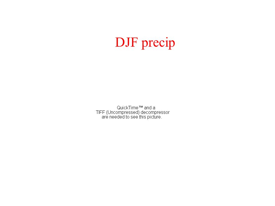DJF precip