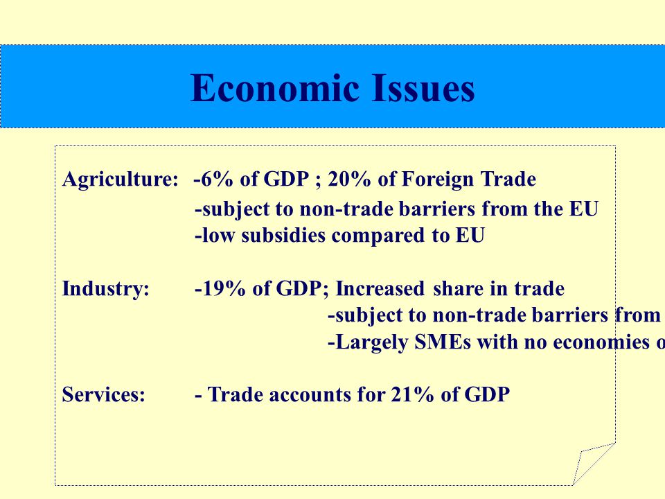 Economic Issues Agriculture: -6% of GDP ; 20% of Foreign Trade -subject to non-trade barriers from the EU -low subsidies compared to EU Industry: -19% of GDP; Increased share in trade -subject to non-trade barriers from the EU -Largely SMEs with no economies of scale Services: - Trade accounts for 21% of GDP