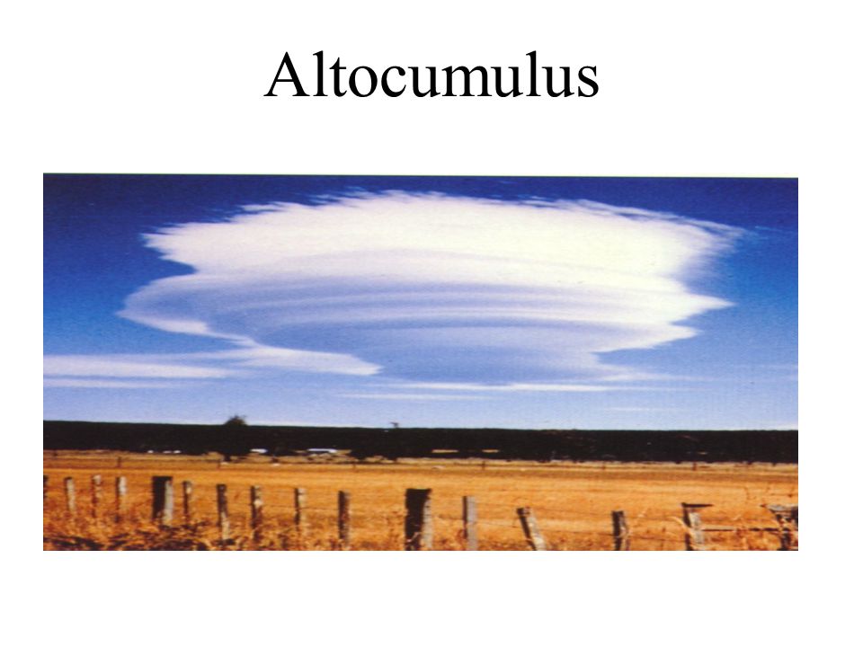 Altocumulus