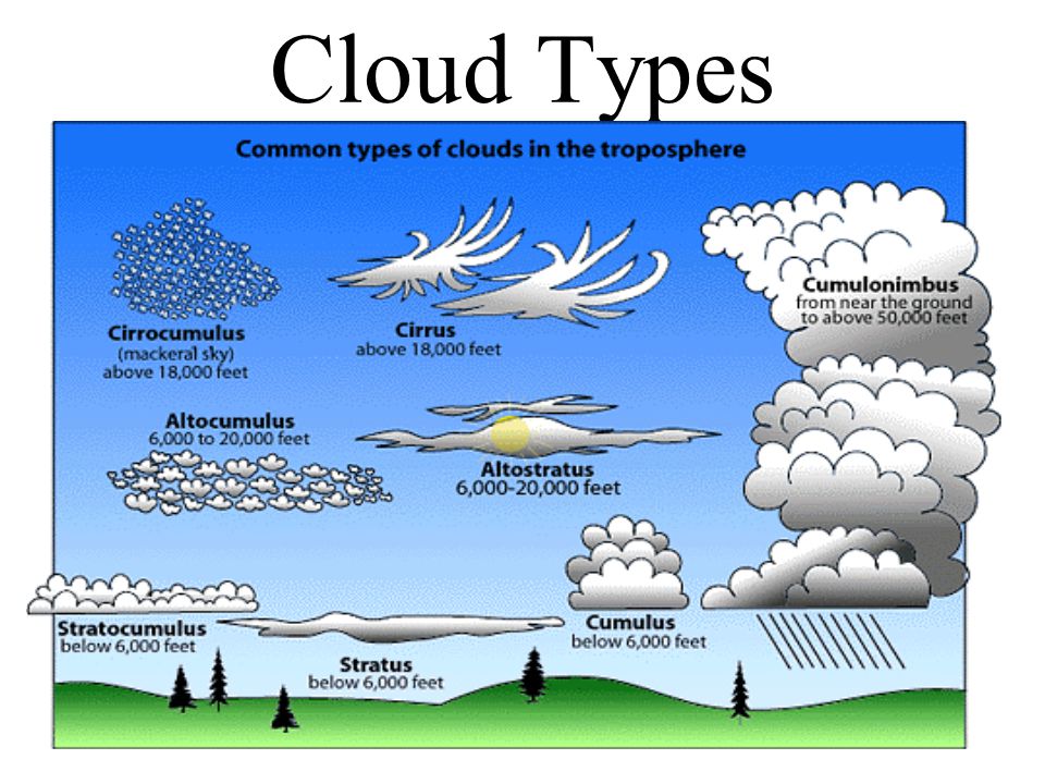 Classification of Clouds Clouds are classified by  Form  Altitude Three forms  Stratus  Cirrus  Cumulus Three altitudes  Low, middle, high