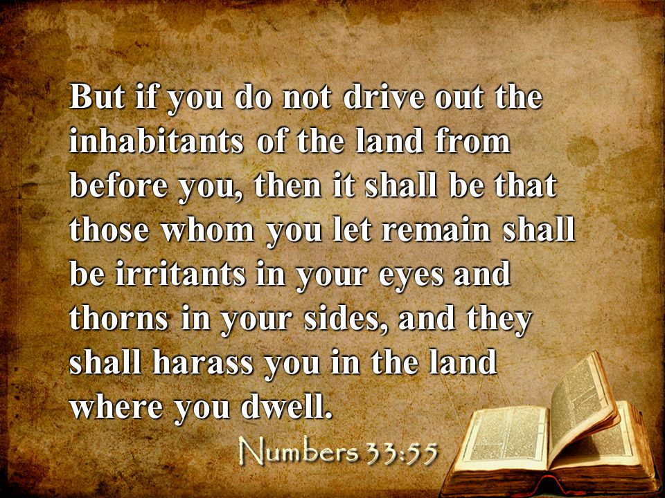 But if you do not drive out the inhabitants of the land from before you, then it shall be that those whom you let remain shall be irritants in your eyes and thorns in your sides, and they shall harass you in the land where you dwell.