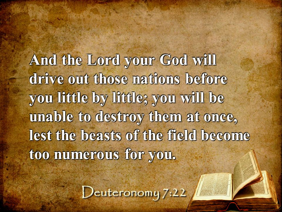 And the Lord your God will drive out those nations before you little by little; you will be unable to destroy them at once, lest the beasts of the field become too numerous for you.