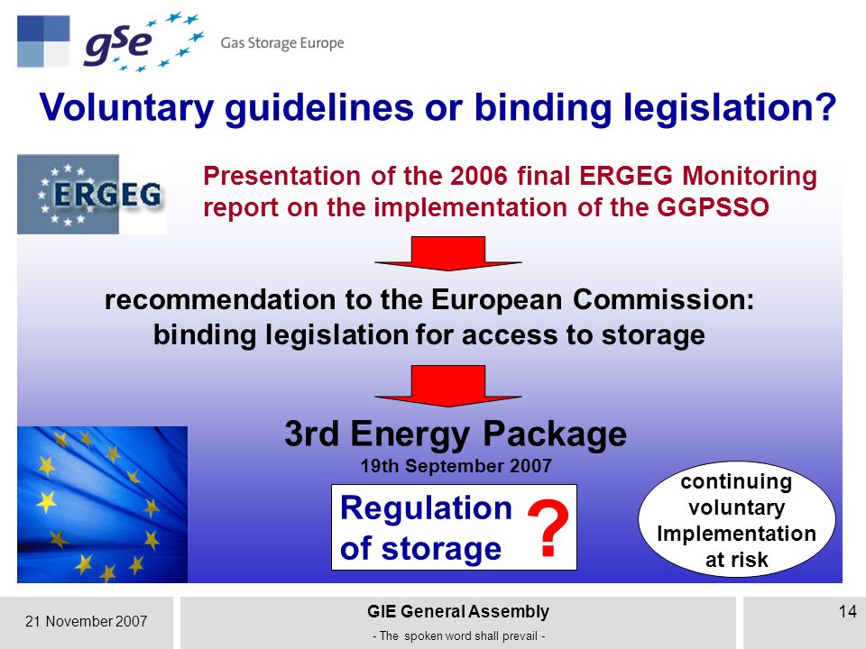 21 November 2007 GIE General Assembly - The spoken word shall prevail - 14 Voluntary guidelines or binding legislation.