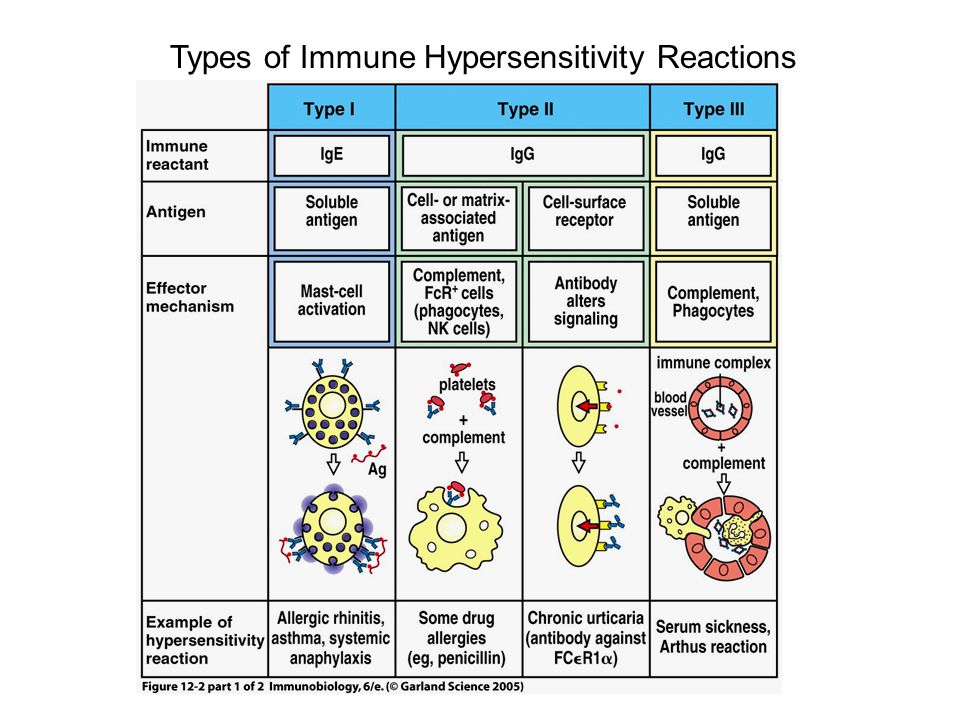 hypersensitivity reaction