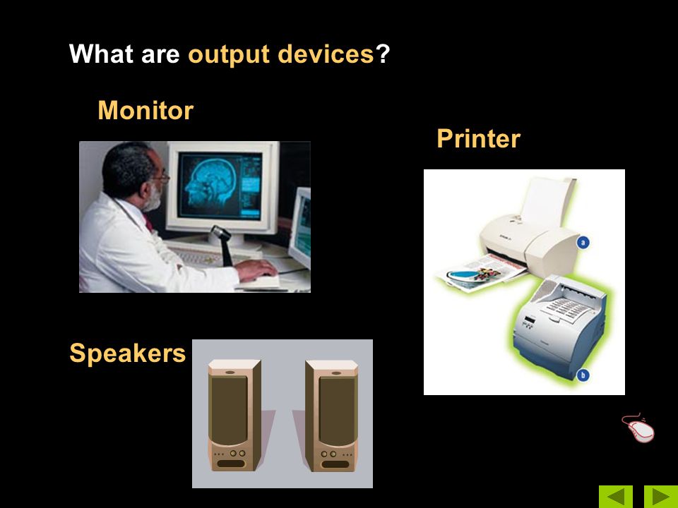 What are output devices Monitor Printer Speakers
