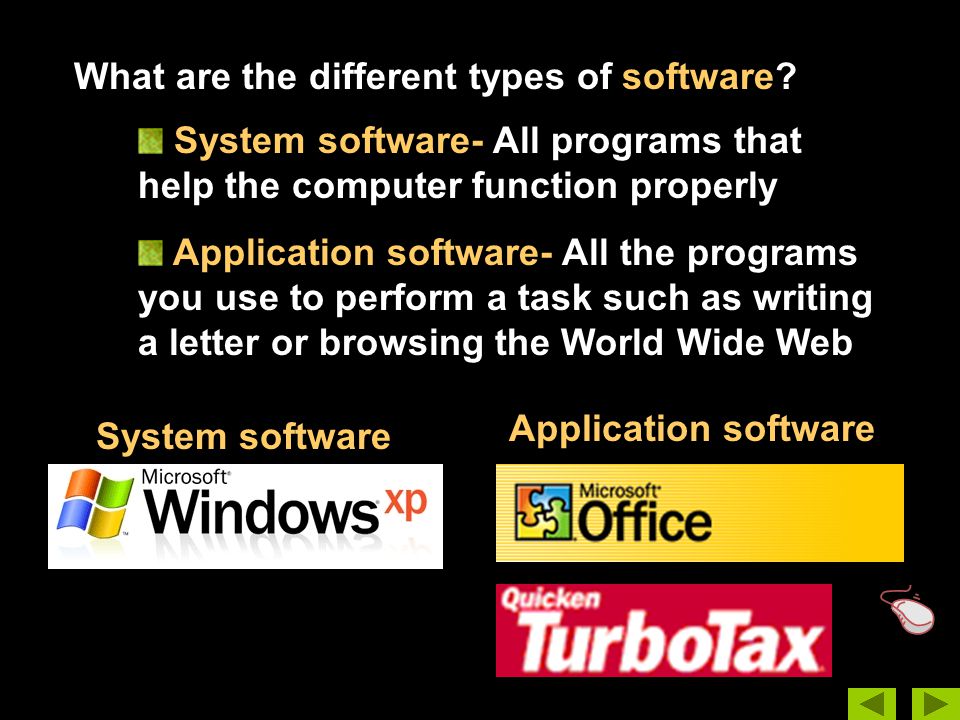 What are the different types of software.
