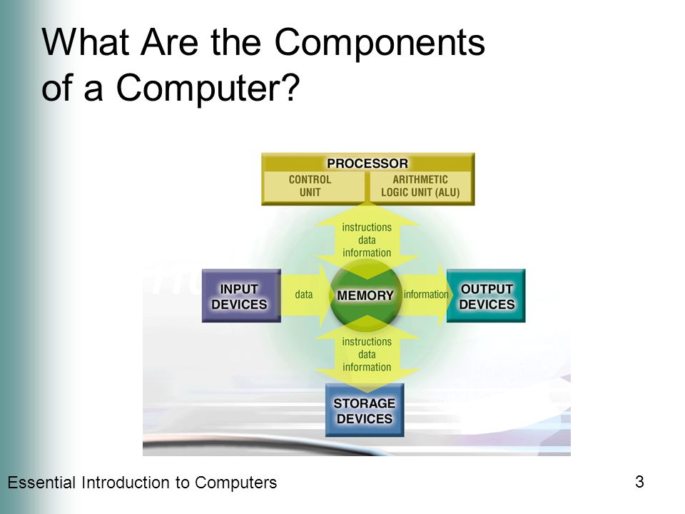 Essential Introduction to Computers 3 What Are the Components of a Computer
