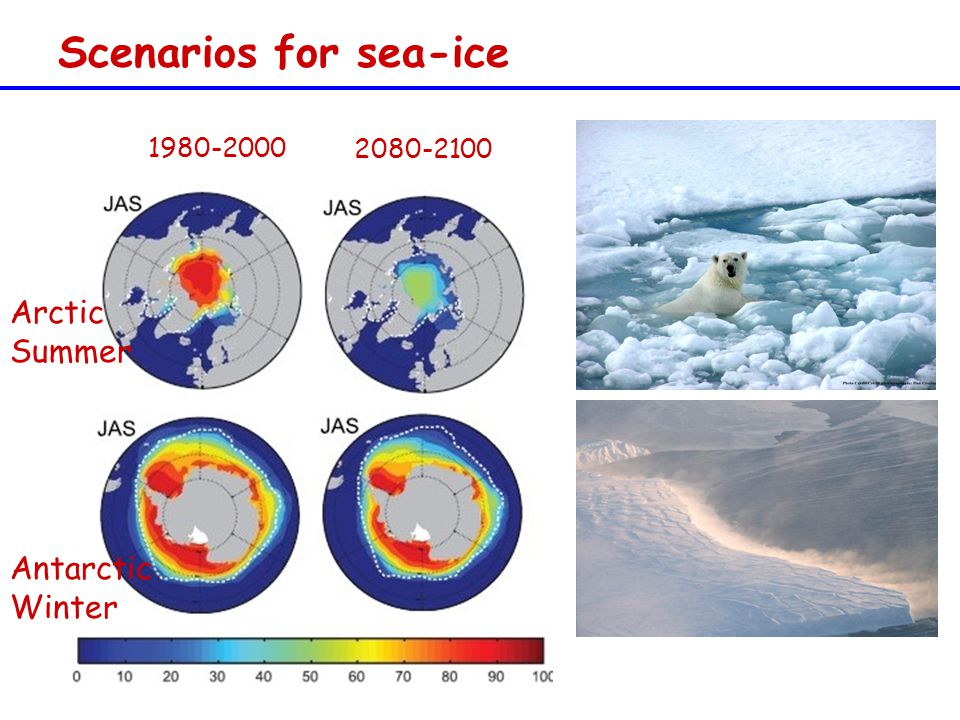 Scenarios for sea-ice Antarctic Winter Arctic Summer