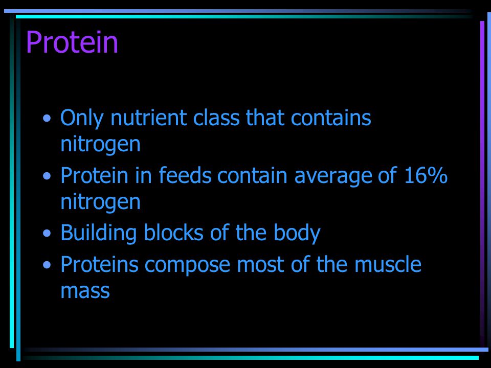 Protein Only nutrient class that contains nitrogen Protein in feeds contain average of 16% nitrogen Building blocks of the body Proteins compose most of the muscle mass