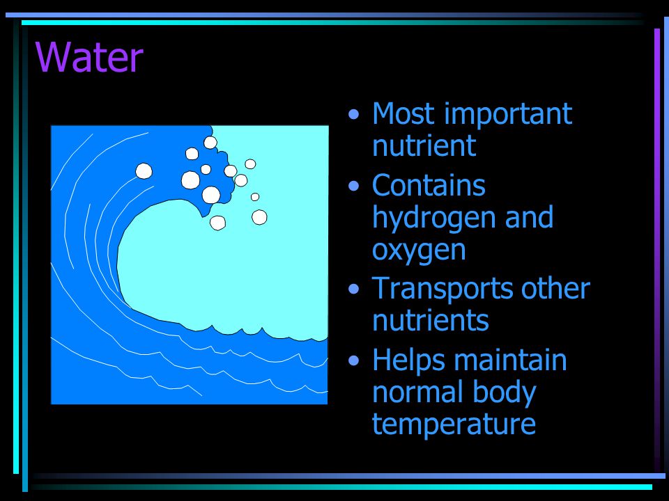 Water Most important nutrient Contains hydrogen and oxygen Transports other nutrients Helps maintain normal body temperature
