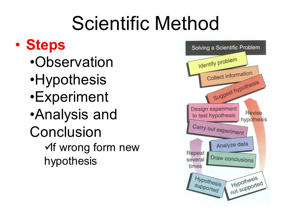 Scientific essay thesis