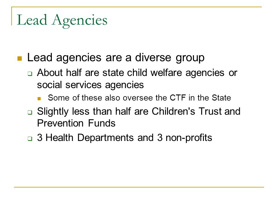 Lead Agencies Lead agencies are a diverse group  About half are state child welfare agencies or social services agencies Some of these also oversee the CTF in the State  Slightly less than half are Children s Trust and Prevention Funds  3 Health Departments and 3 non-profits