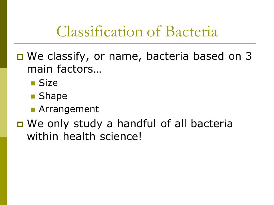 classification of bacteria classification of bacteria