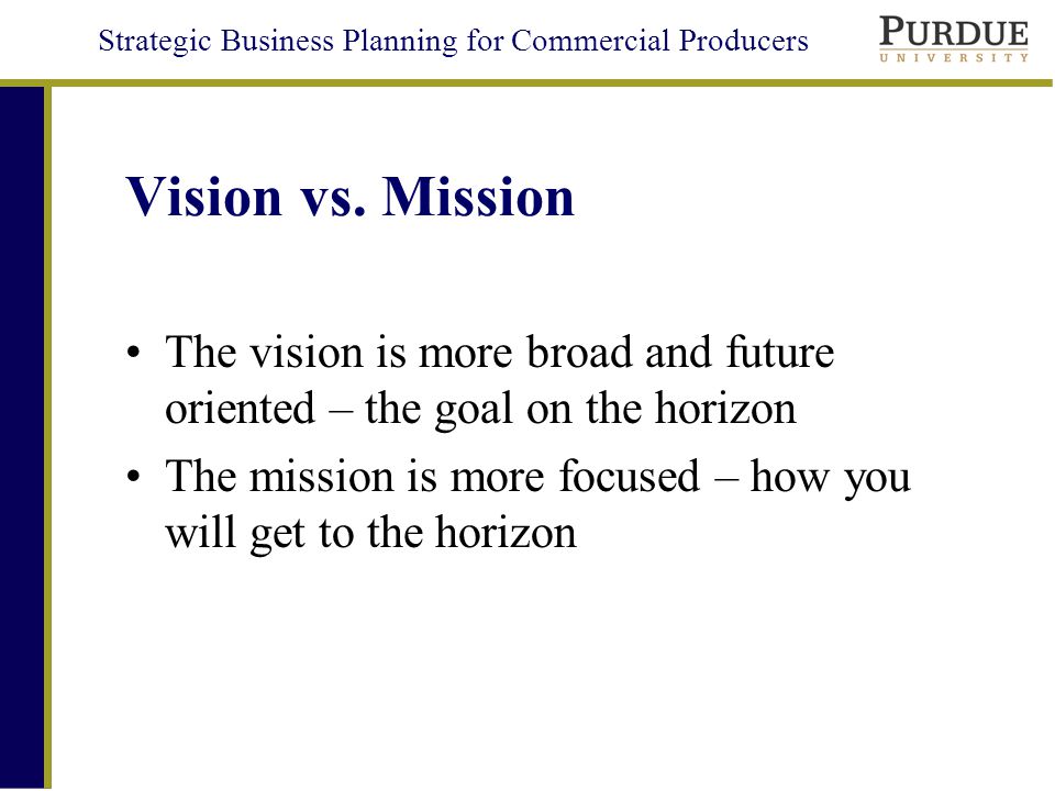 Strategic Business Planning for Commercial Producers Vision vs.