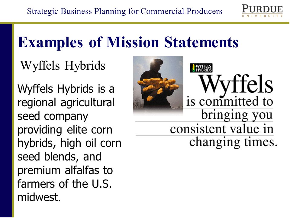 Strategic Business Planning for Commercial Producers Examples of Mission Statements Wyffels Hybrids Wyffels Hybrids is a regional agricultural seed company providing elite corn hybrids, high oil corn seed blends, and premium alfalfas to farmers of the U.S.