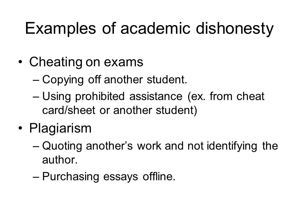 Integrity Essay Examples