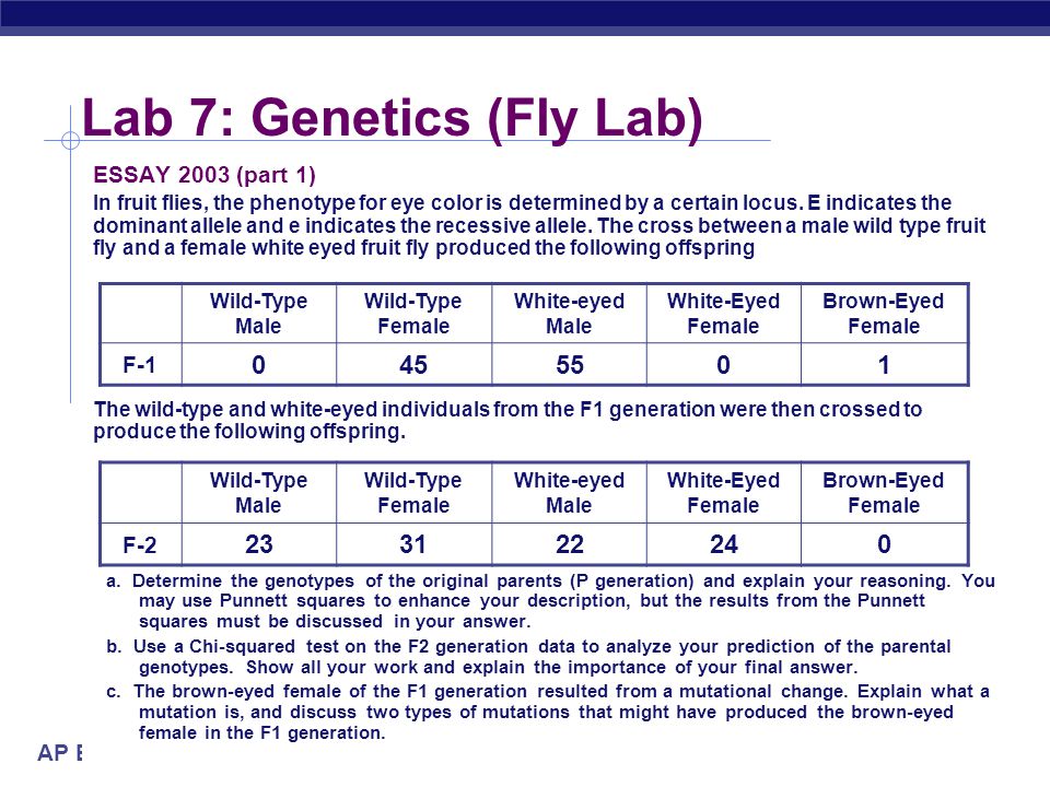 ap biology essay 2000 rubric ap biology essay 2000 rubric
