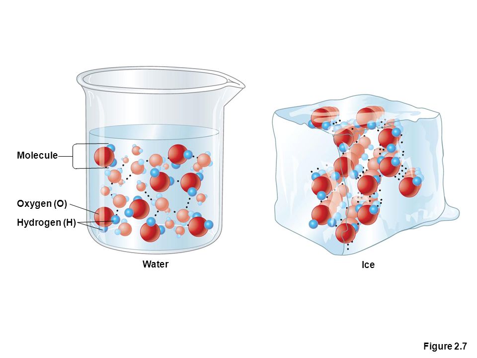 Figure 2.7 Molecule Oxygen (O) Hydrogen (H) Water Ice