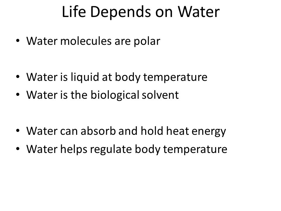 Life Depends on Water Water molecules are polar Water is liquid at body temperature Water is the biological solvent Water can absorb and hold heat energy Water helps regulate body temperature