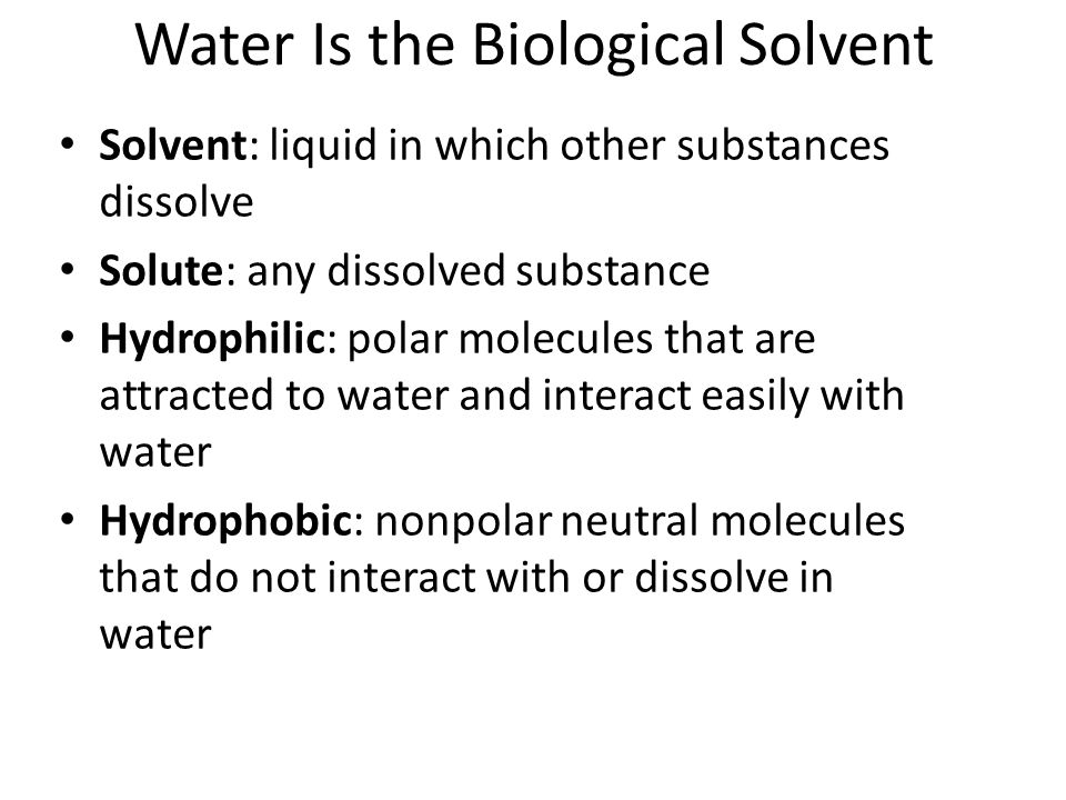 Water Is the Biological Solvent Solvent: liquid in which other substances dissolve Solute: any dissolved substance Hydrophilic: polar molecules that are attracted to water and interact easily with water Hydrophobic: nonpolar neutral molecules that do not interact with or dissolve in water