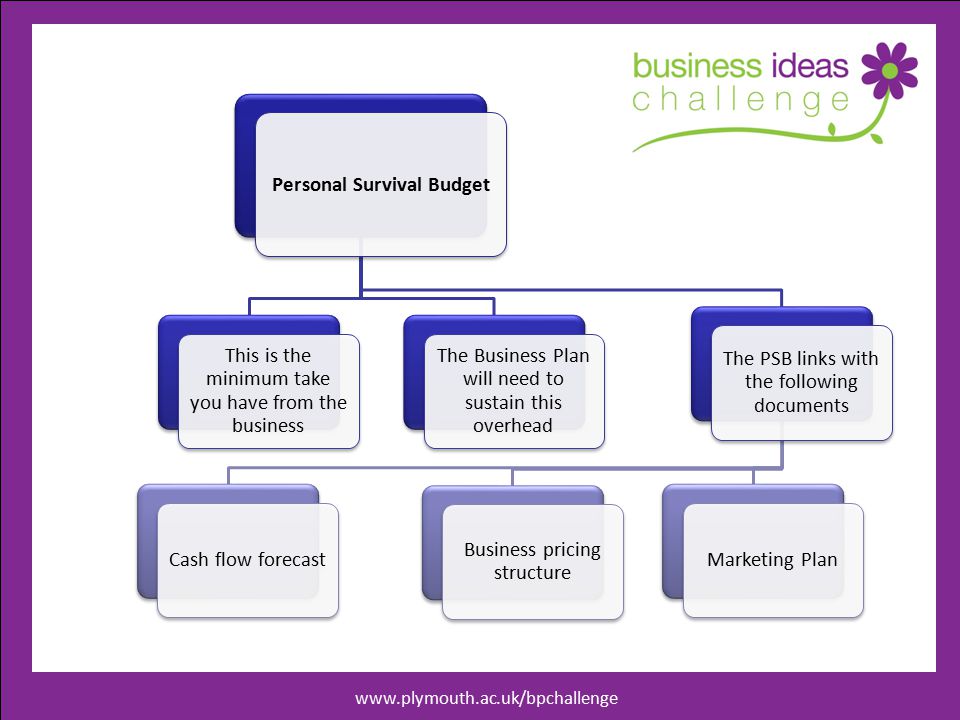 Personal Survival Budget This is the minimum take you have from the business The Business Plan will need to sustain this overhead The PSB links with the following documents Business pricing structure Cash flow forecastMarketing Plan