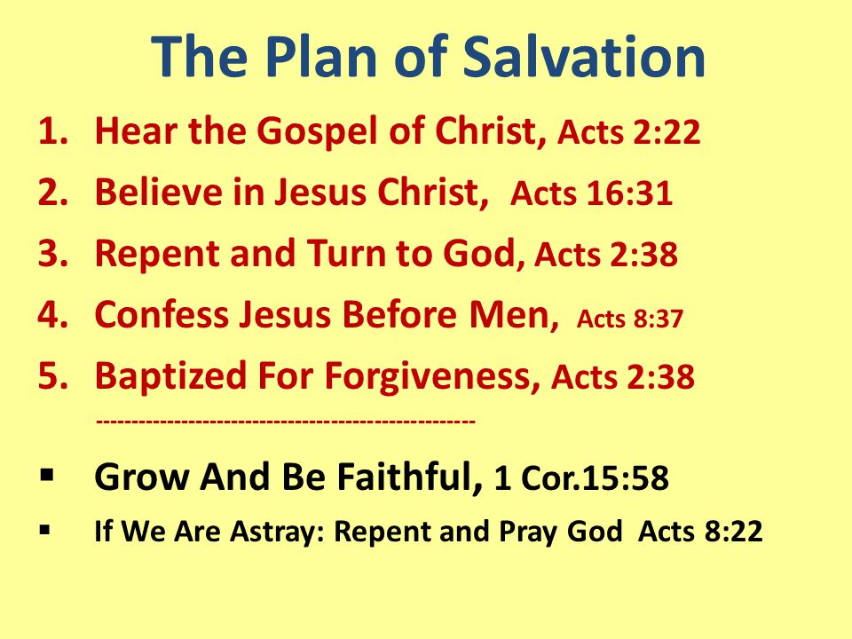 The Plan of Salvation 1.Hear the Gospel of Christ, Acts 2:22 2.Believe in Jesus Christ, Acts 16:31 3.Repent and Turn to God, Acts 2:38 4.Confess Jesus Before Men, Acts 8:37 5.Baptized For Forgiveness, Acts 2:  Grow And Be Faithful, 1 Cor.15:58  If We Are Astray: Repent and Pray God Acts 8:22