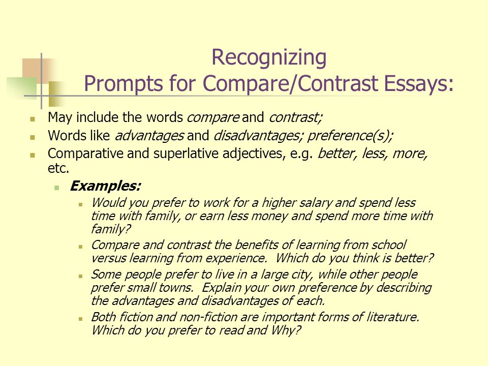 family business essay