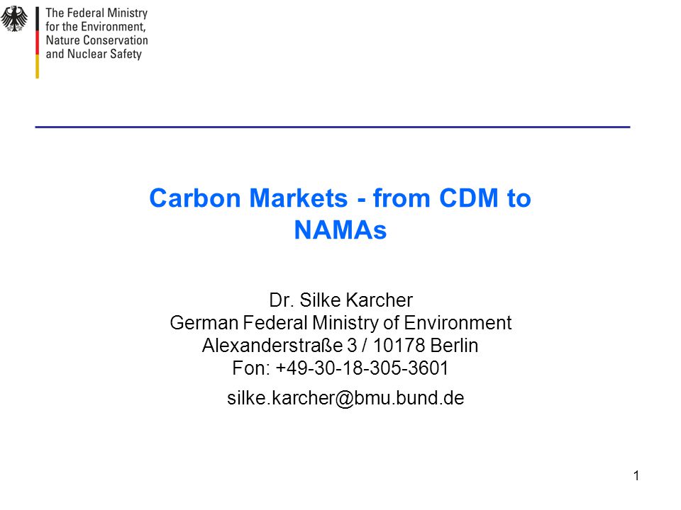 1 Carbon Markets - from CDM to NAMAs Dr.