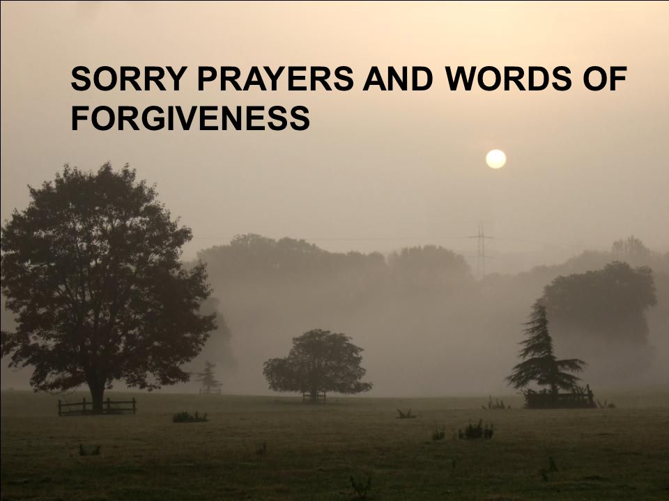 SORRY PRAYERS AND WORDS OF FORGIVENESS