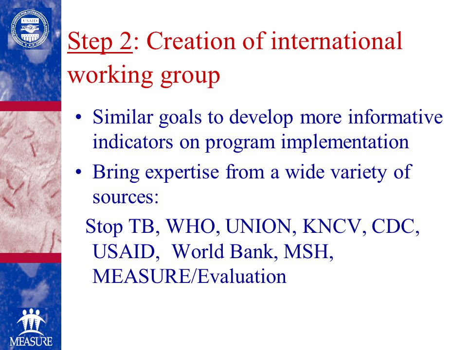 Step 2: Creation of international working group Similar goals to develop more informative indicators on program implementation Bring expertise from a wide variety of sources: Stop TB, WHO, UNION, KNCV, CDC, USAID, World Bank, MSH, MEASURE/Evaluation