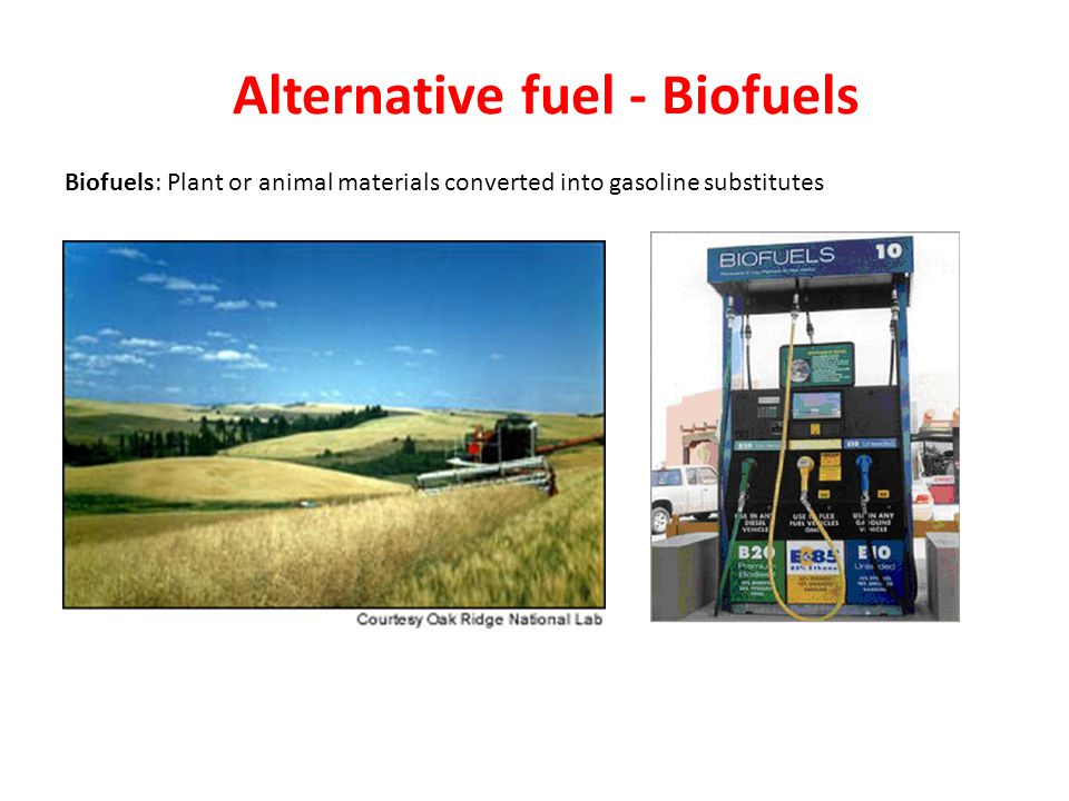 Alternative fuel - Biofuels Biofuels: Plant or animal materials converted into gasoline substitutes