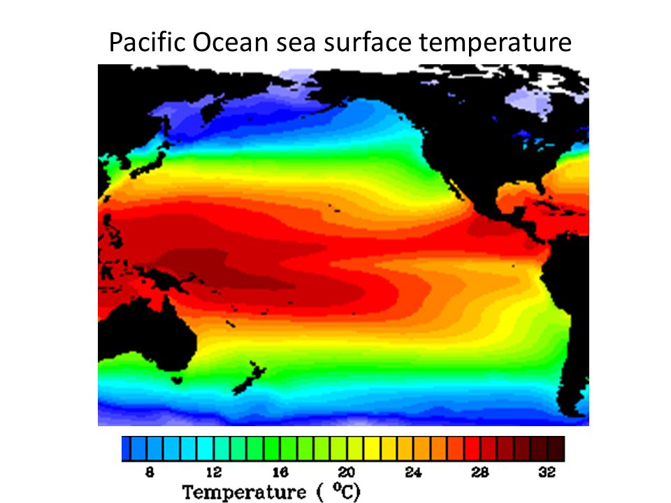 Pacific Ocean sea surface temperature