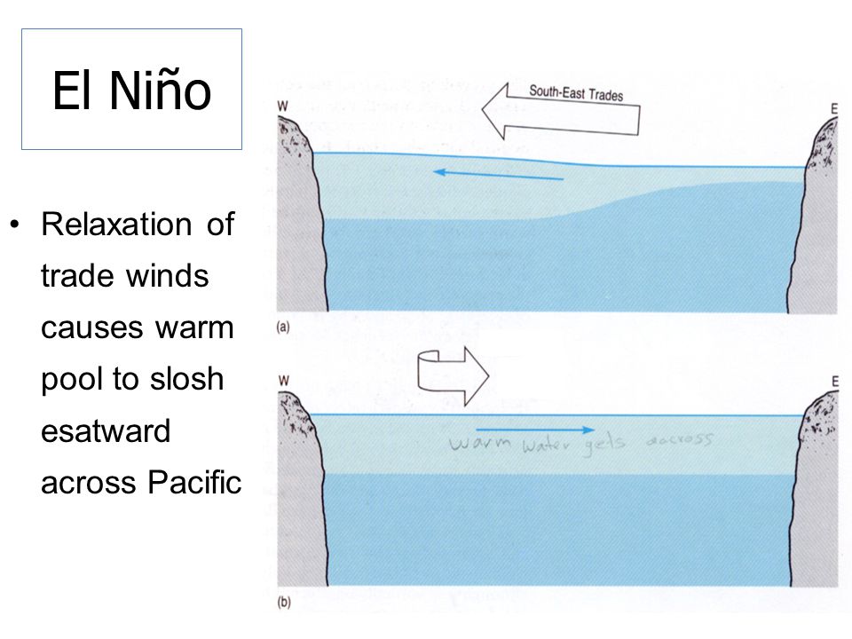 El Niño Relaxation of trade winds causes warm pool to slosh esatward across Pacific