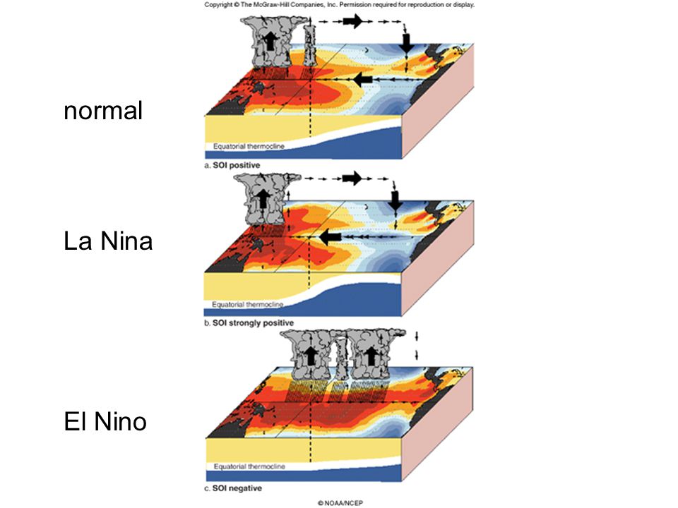 normal El Nino La Nina