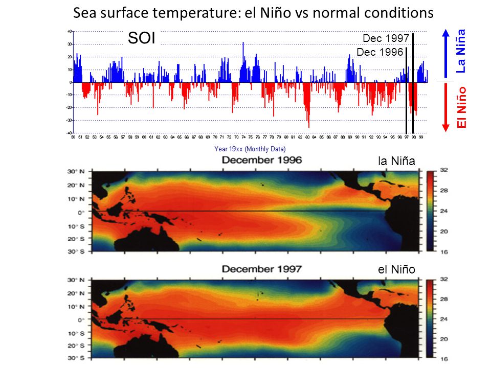 La Niña El Niño Sea surface temperature: el Niño vs normal conditions el Niño Dec 1996 Dec 1997 la Niña SOI