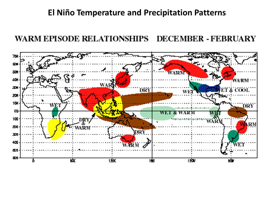 El Niño Temperature and Precipitation Patterns