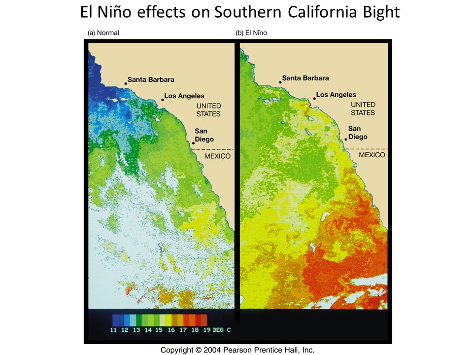 El Niño effects on Southern California Bight