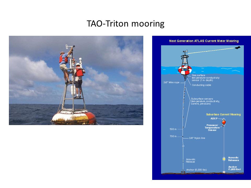 TAO-Triton mooring