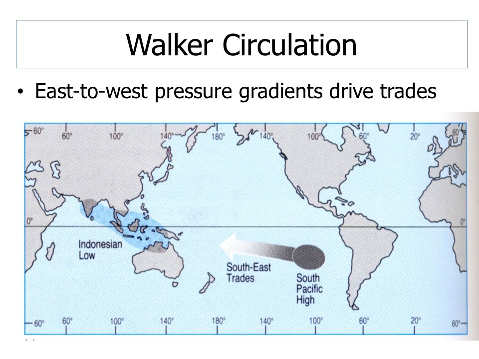 Walker Circulation East-to-west pressure gradients drive trades