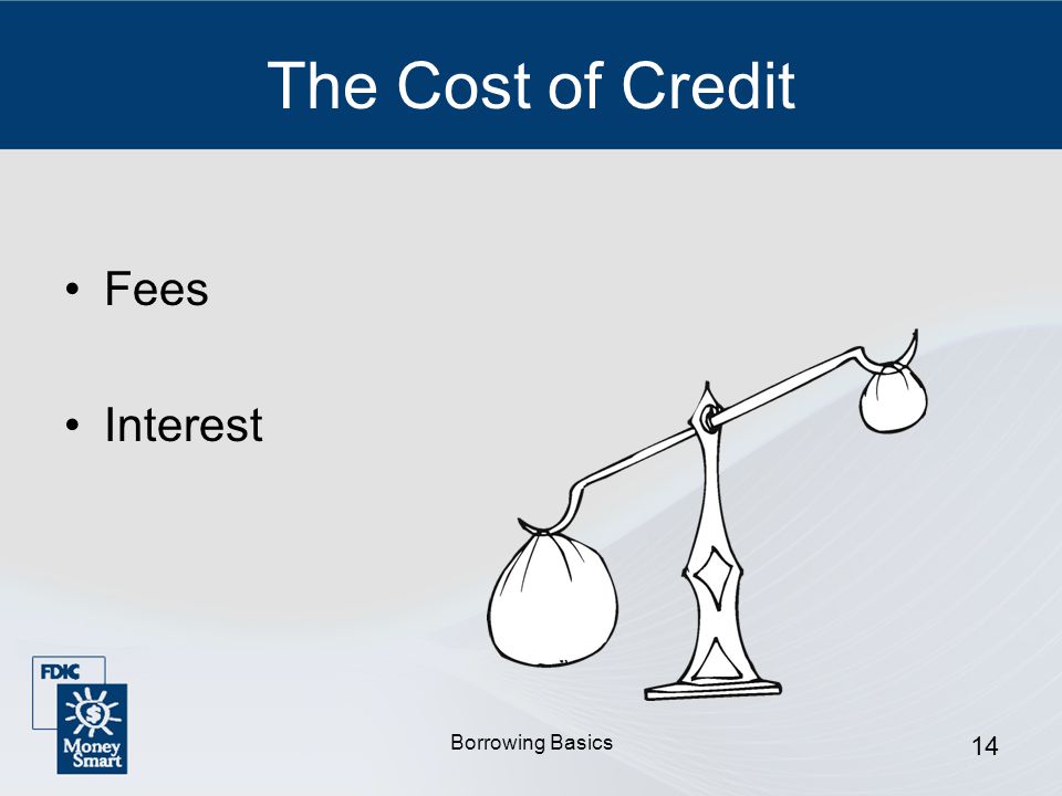 Borrowing Basics 14 The Cost of Credit Fees Interest